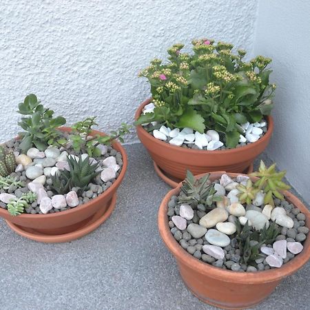 Apartament Casa D' Avo Zeza Jardim do Mar Zewnętrze zdjęcie