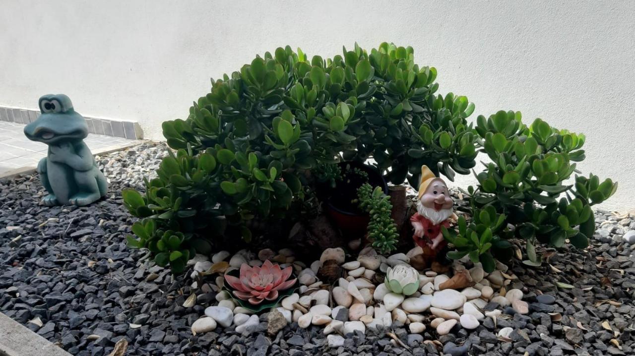 Apartament Casa D' Avo Zeza Jardim do Mar Zewnętrze zdjęcie