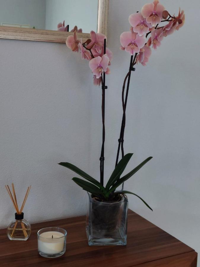 Apartament Casa D' Avo Zeza Jardim do Mar Zewnętrze zdjęcie